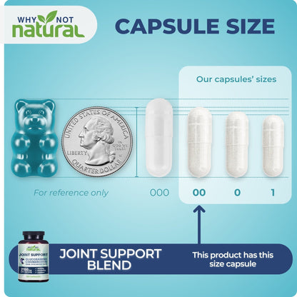 Glucosamine Chondroitin MSM, Joint Support