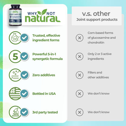 Glucosamine Chondroitin MSM, Joint Support