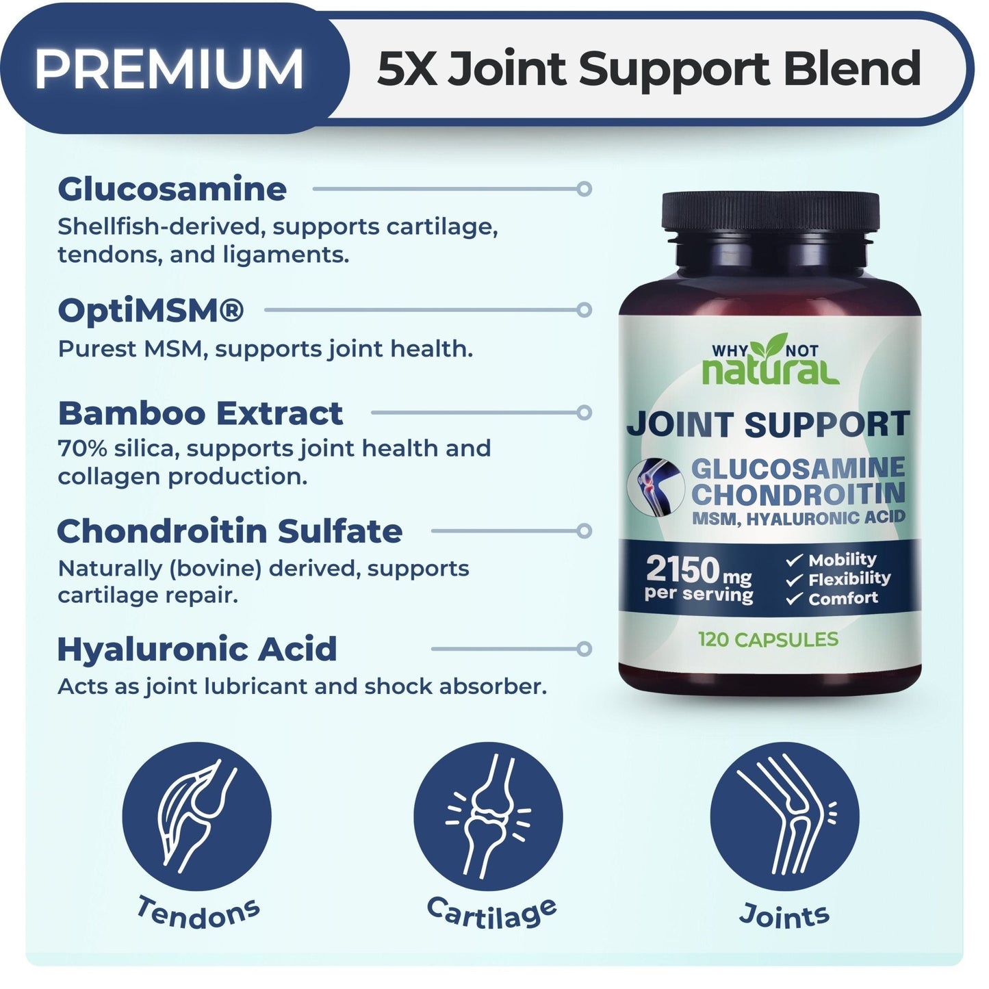 Glucosamine Chondroitin MSM, Joint Support