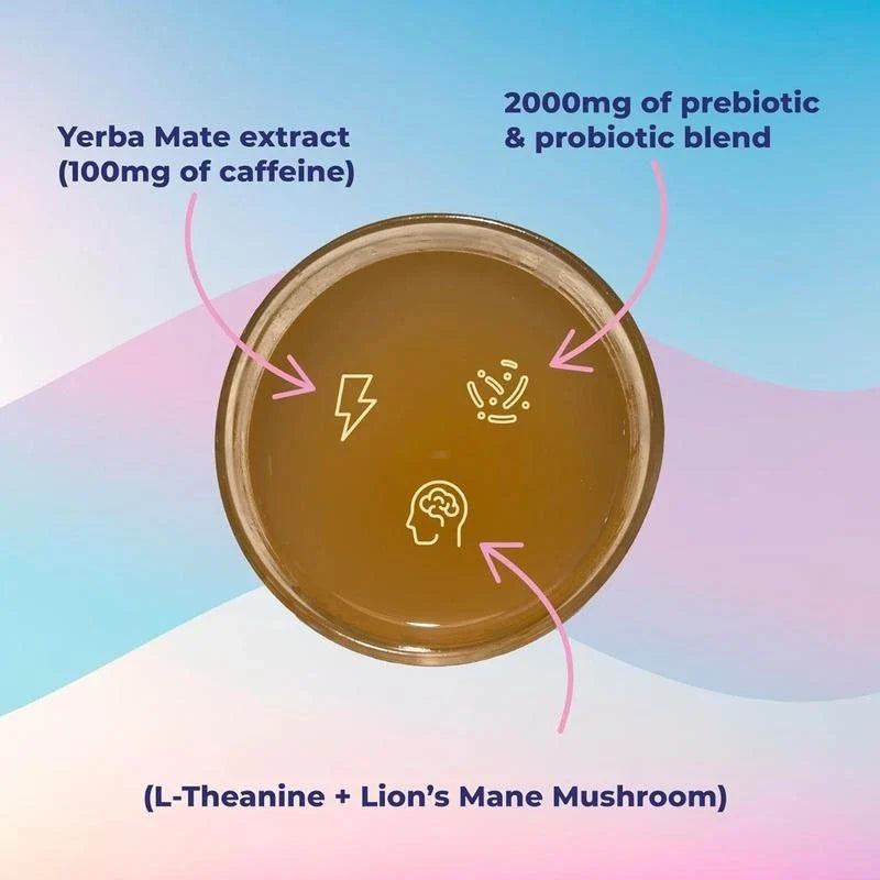 Yerba Magic | Yerba Mate Instant Tea Powder | 20, 24, or 30 Servings-Shop