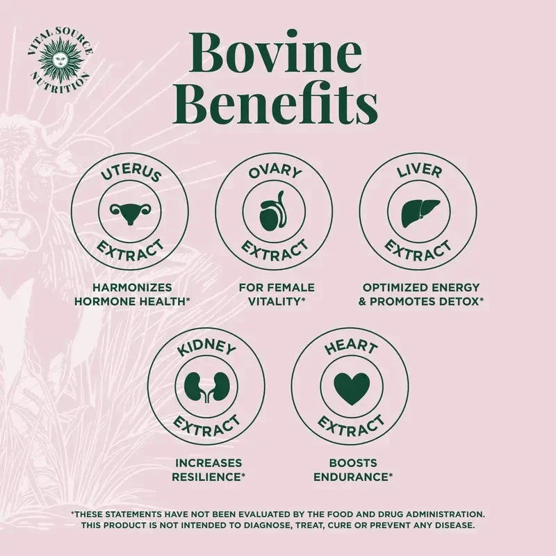 Vital Source BiFi Primal Organ Blend Capsules – Hormone Balance, Energy, Mental