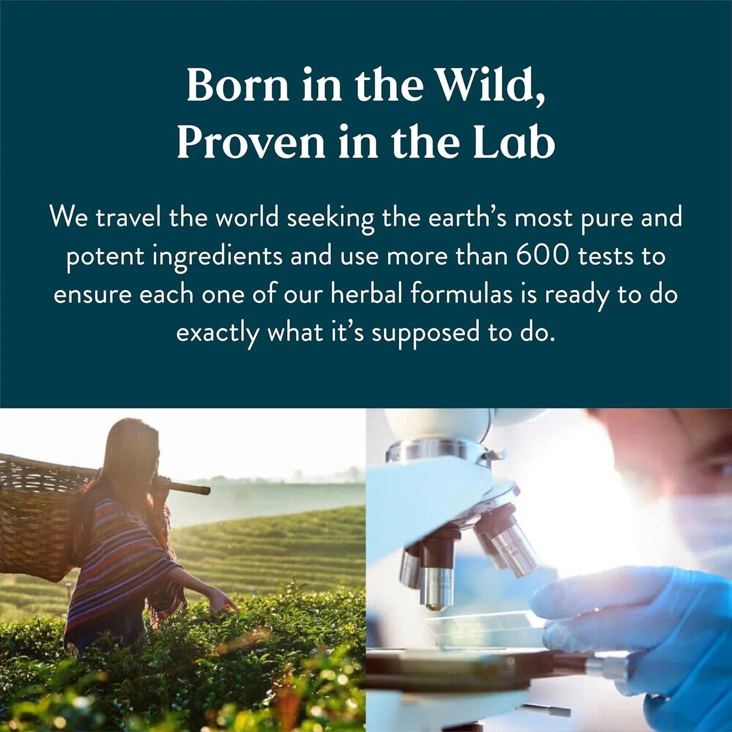 Nature's Sunshine Lymphatic Drainage - Immune Support, Cleanse & Detox,immunity