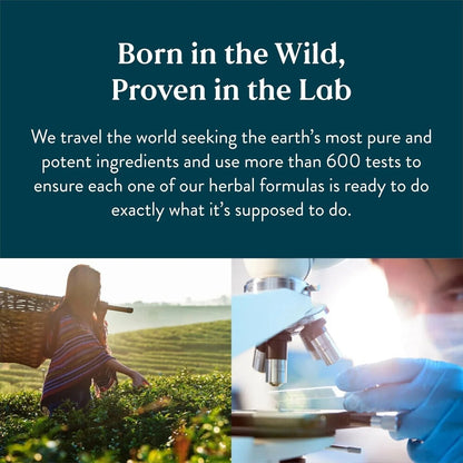 Nature's Sunshine Lymphatic Drainage - Immune Support, Cleanse & Detox,immunity