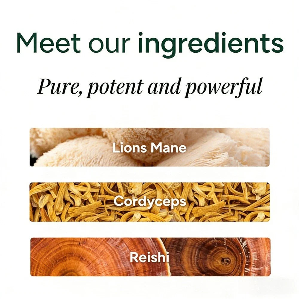 ROOT LABS Shilajit Gummies: KSM-66 Ashwagandha, Sugar-Free & Vegan